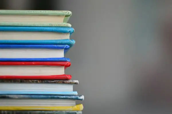 Pendidikan